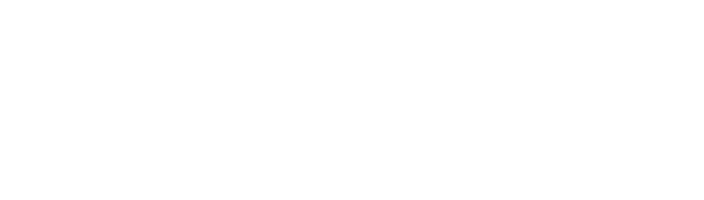 Vansidian Logo